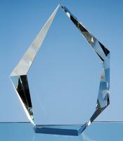 Thumbnail for Optical Crystal Facet Iceberg Award